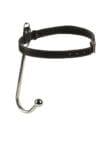 PleazureX 	Anale haak geboeid plus gag ball set 2