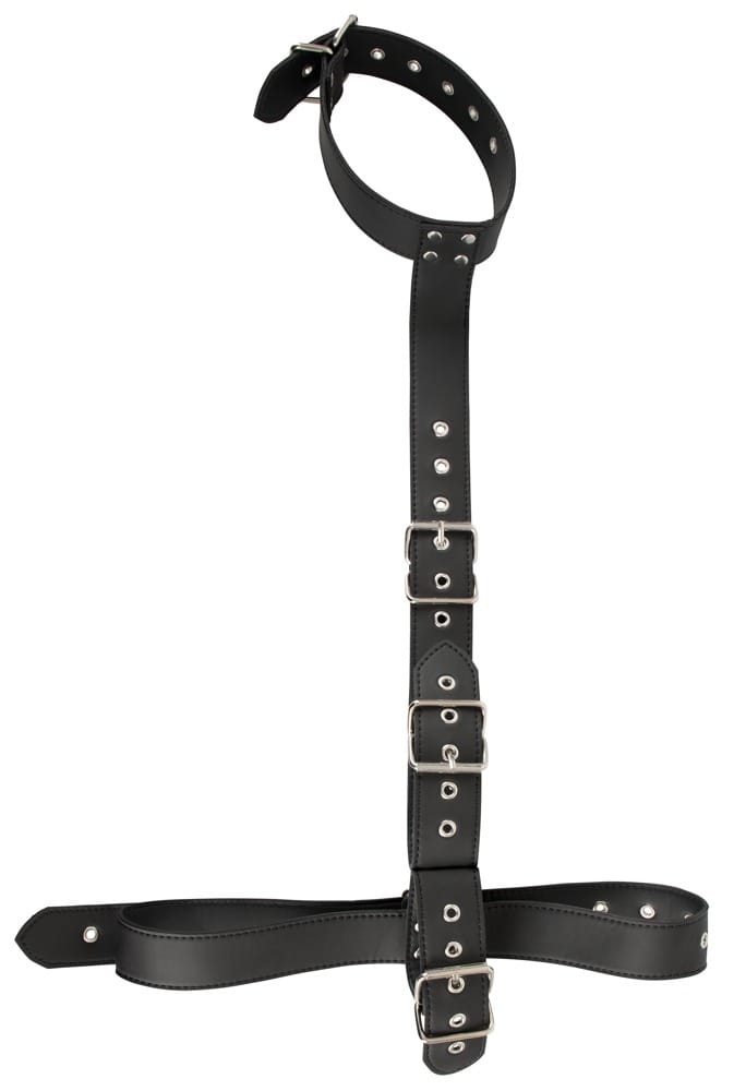 24930121001_nor_b-1