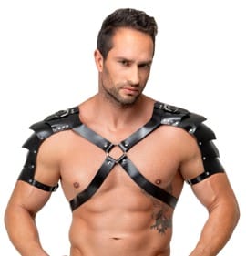 Harness aus Leder