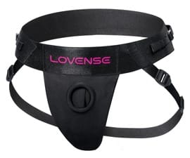 Harness